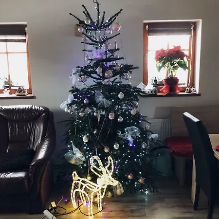 Diana * Витковице